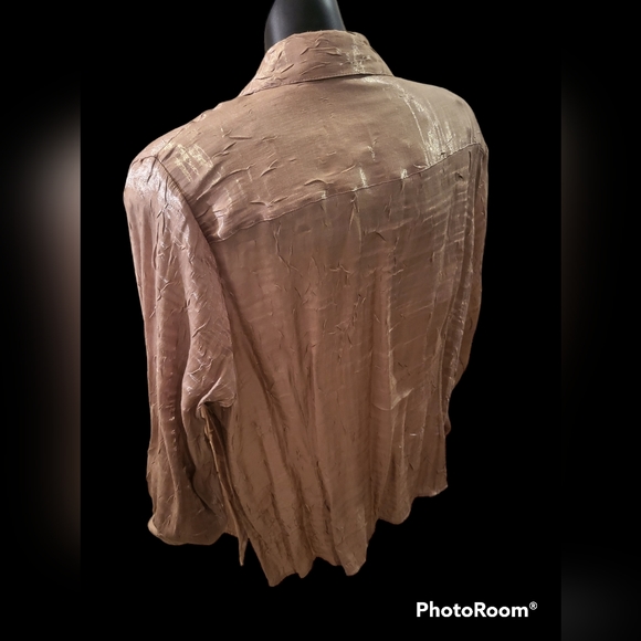 Fawn shimmer buttondown - Picture 6 of 7